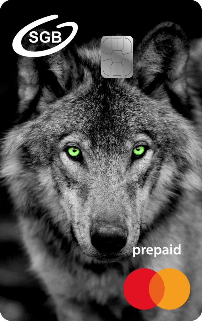 Karata z wizerunkiem wilka